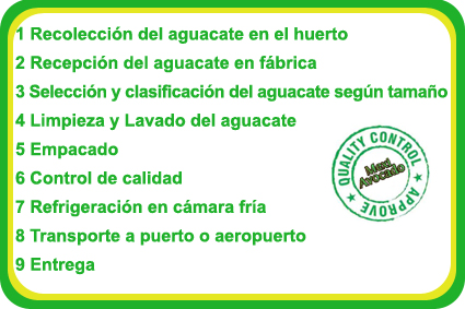 Proceso_Spanish