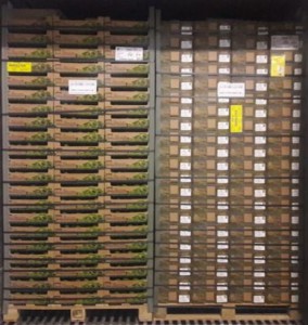 PalletSmallerQt